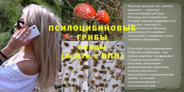 мефедрон мука Гусь-Хрустальный