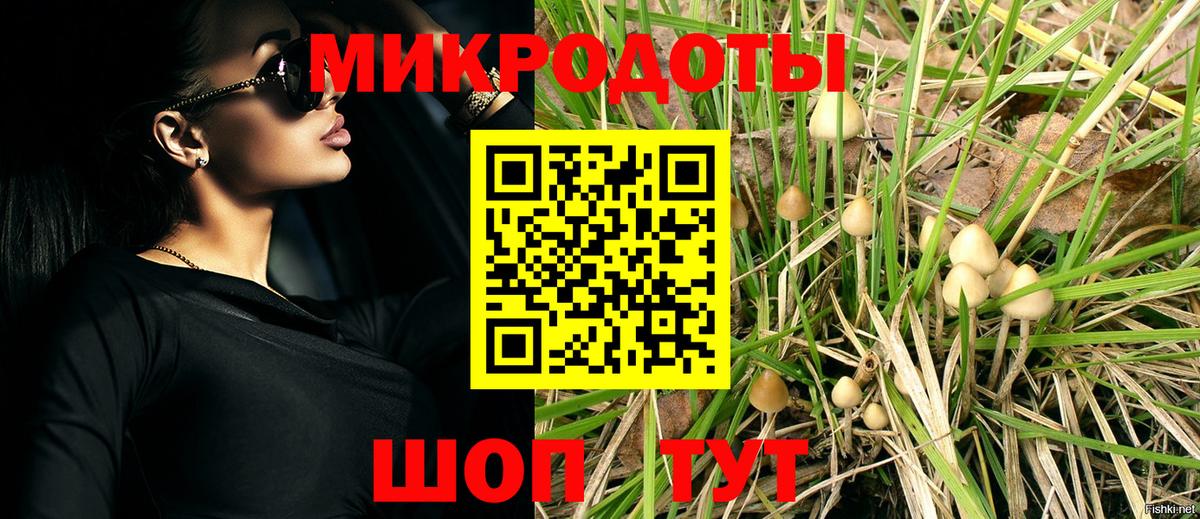 Дубна  Галлюциногенные грибы MAGIC MUSHROOMS  Псилоцибиновые грибы Magic Shrooms  Вход с VPN 